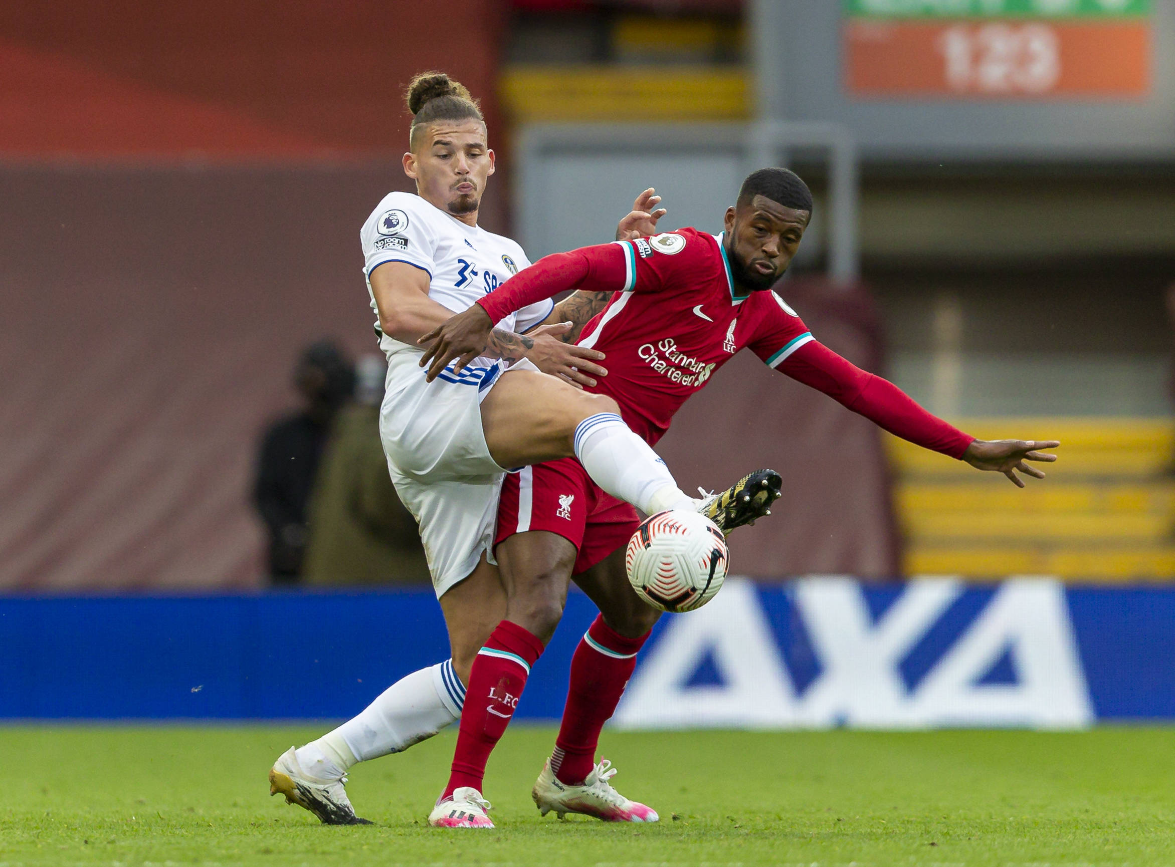 他们将会开 他们将会开